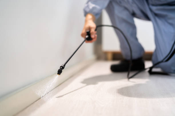 Bed Bug Pre-Treatment Preparation Assessment in Princeton Junction