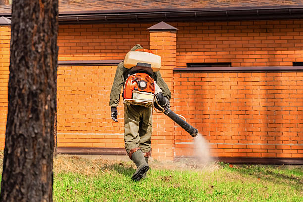 Bed Bug Clearance Verification and Documentation in Princeton Junction